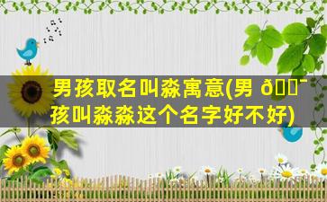 男孩取名叫淼寓意(男 🐯 孩叫淼淼这个名字好不好)